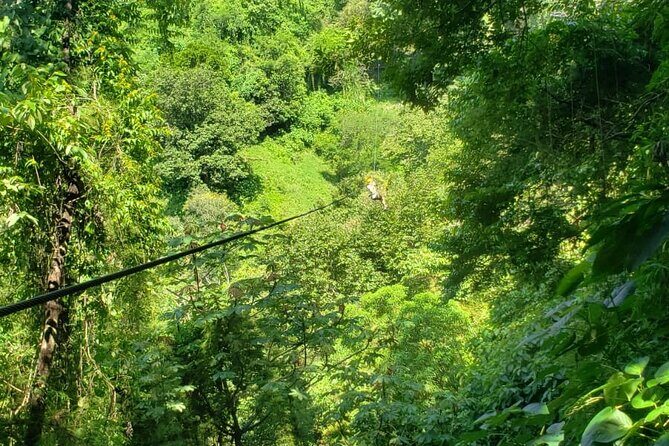 Turtles Release Adventure - Practical Tips for Your Visit