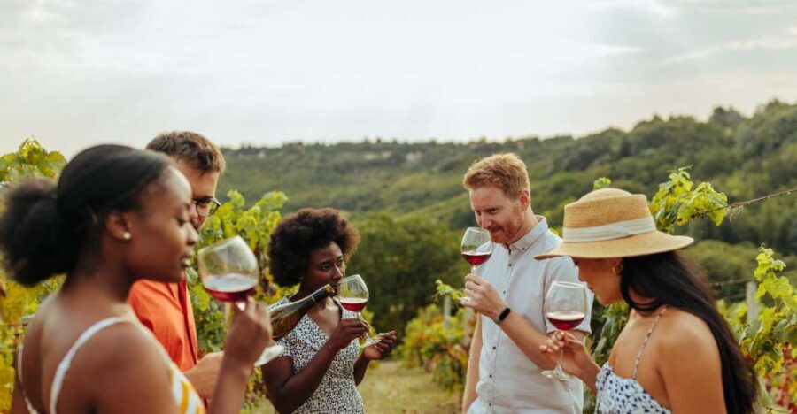 Twin Falls: Guided Half-Day Scenic Tour and Wine Tasting - Authenticity and Value