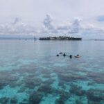 Twin Island Snorkeling Adventure at Hiltungan and Nalsuan - Who Will Love This Tour?
