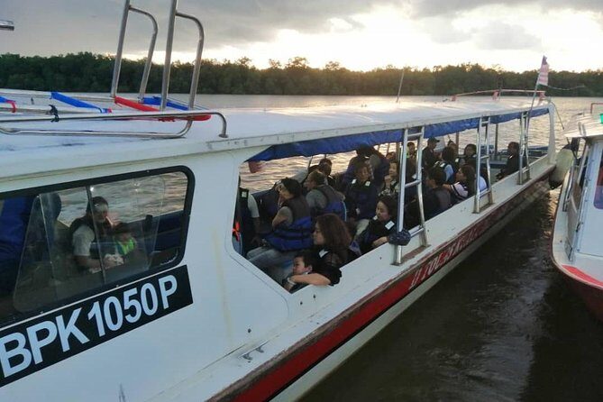 Twinkling Kuala Selangor Firefly Boat Tour from Kuala Lumpur - Why This Tour Works Well
