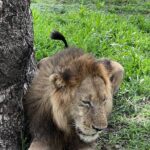 Two Days Safari by Train - Final Thoughts