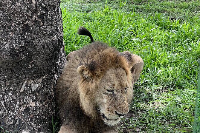 Two Days Safari by Train - Final Thoughts