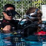Two reef discovery dives with professional instructor (no experience necessary) - Why This Tour Offers Great Value