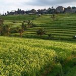 Ubud : ATV Bali Quad Bike Adventure - Exploring the Ubud ATV Bali Quad Bike Adventure: An In-Depth Review