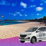 Ubud Bali Driver ( Custom Tour) - About the Experience Provider