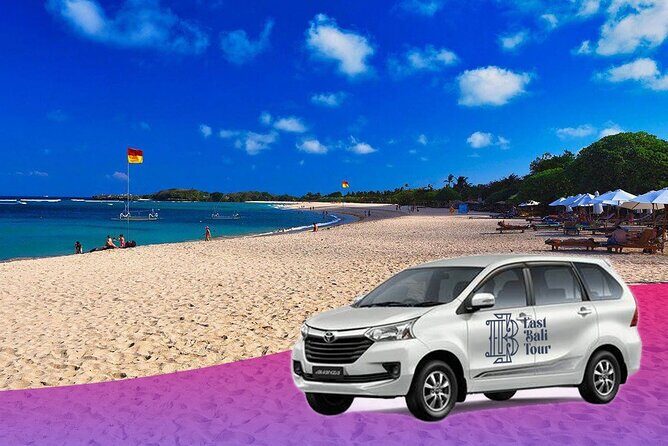 Ubud Bali Driver ( Custom Tour) - About the Experience Provider