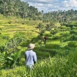 Ubud Bali Driver - Private Driver in Ubud - FAQ