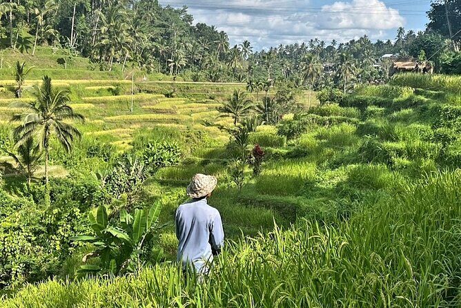 Ubud Bali Driver - Private Driver in Ubud - FAQ