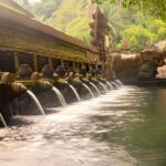 Ubud Bali: Rice Terrace, Waterfall and Tirta empul Day Tour - What Makes This Tour Special?
