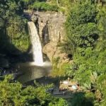 Ubud Best Tour - Why This Tour Delivers Value