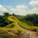 Ubud Countryside Tour: Campuhan Ridge Walk and Rice Terrace - The Sum Up