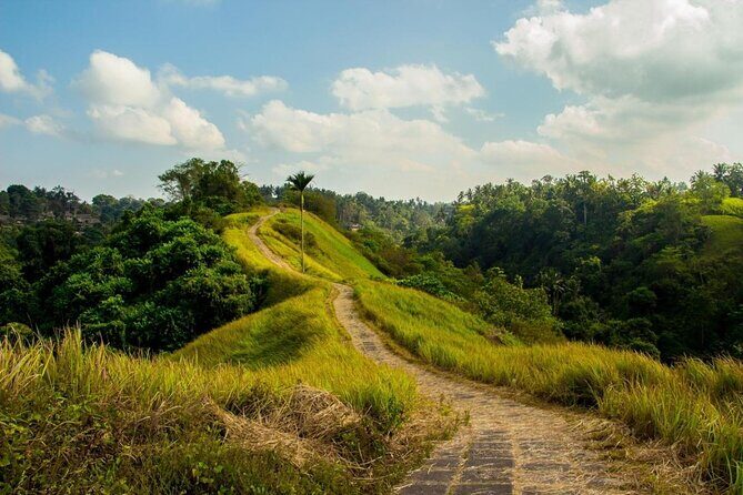 Ubud Countryside Tour: Campuhan Ridge Walk and Rice Terrace - The Sum Up