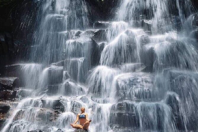 Ubud Day Tour : Waterfall, Temple and Local Night Market Tour - A Closer Look at the Experience