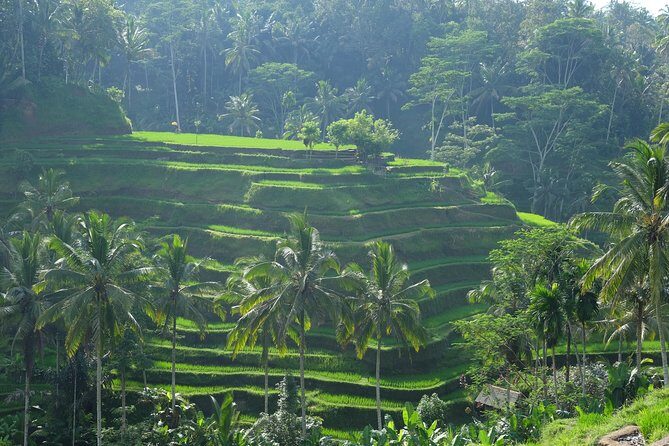 Ubud Experience ; Swing, Waterfalls, Art Market, Rice Terrace - Who Would Love This Tour?