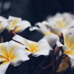 Ubud Explorer Private Day Tour - Who Would Enjoy This Tour?