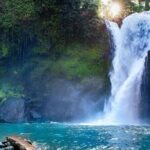 Ubud Full Day Tour Waterfall Monkey Forest Rice Terrace - Who Will Love This Tour?