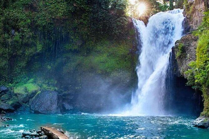 Ubud Full Day Tour Waterfall Monkey Forest Rice Terrace - Who Will Love This Tour?