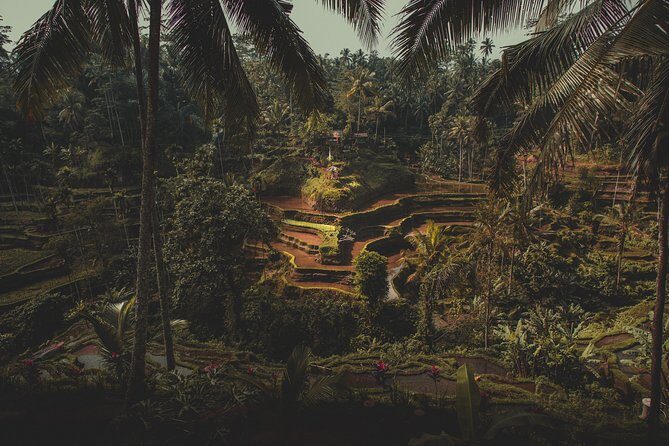 Ubud Guided Tour & Iconic Tanah Lot Temple - A Deep Dive into the Experience