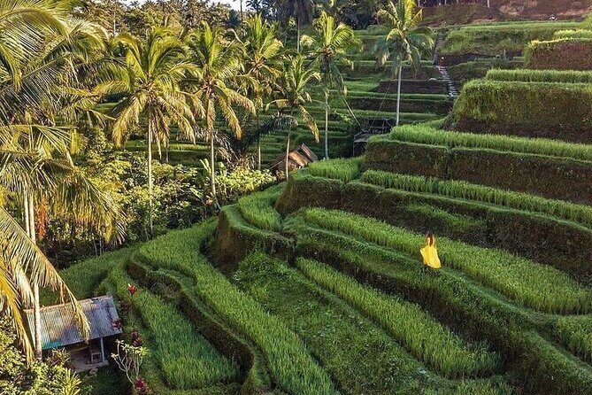 Ubud Hidden Waterfalls and Rice Terrace Tours - Final Thoughts: Who Will Love This Tour?