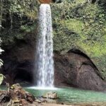 Ubud Hidden Waterfalls Private Day trip - Why This Tour Offers Great Value