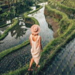Ubud Highlights Full-Day Tour - Small Group - A Deep Dive into the Ubud Highlights Tour