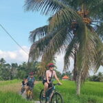 Ubud : Kintamani Downhill Cycling Tour with Lunch - Why This Tour Works Well
