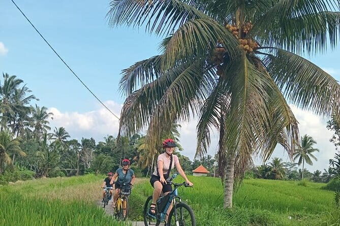 Ubud : Kintamani Downhill Cycling Tour with Lunch - Why This Tour Works Well