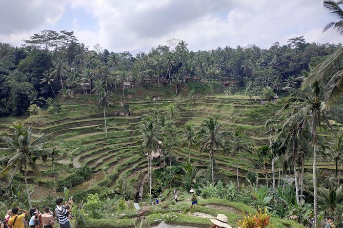 Ubud, Kintamani Volcanos Bali tour - An In-Depth Look at the Ubud, Kintamani Volcano Tour