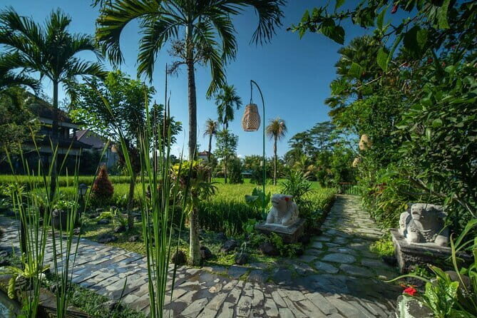 Ubud Luxury Bali Spa Package with amidst rice fields - Who Should Consider This Experience?