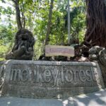 Ubud Monkey Forest Sanctuary Entrance Ticket All Inclusive - Transportation, Duration, and Group Size