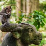 Ubud: Monkey Forest, Waterfall and Nature Exploration Tour - Transportation and Group Size