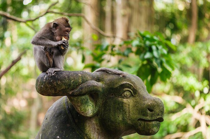 Ubud: Monkey Forest, Waterfall and Nature Exploration Tour - Transportation and Group Size