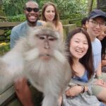 Ubud Private Tour - Who Should Consider This Tour?