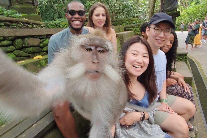 Ubud Private Tour - Who Should Consider This Tour?