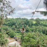 Ubud Private Tours with Jungle Swing Experience - all inclusive - Exploring Ubud’s Cultural and Natural Landmarks