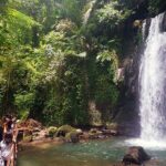 UBUD Spring Temple, Waterfall, Rice Terraces Private Tour - Exploring the Itinerary in Detail