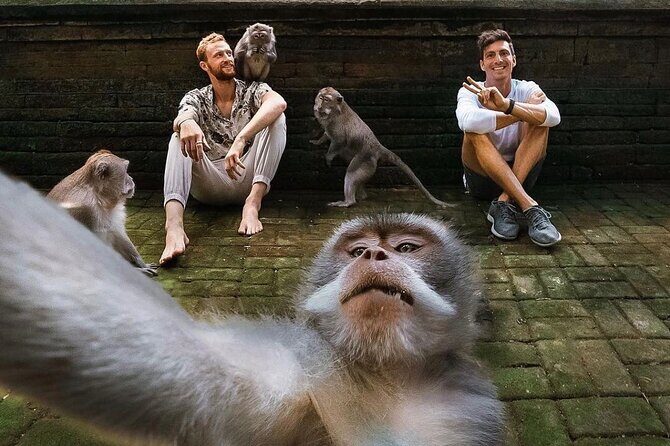 Ubud Tour-All Inclusive with Jungle Swing And Lunch - What This Tour Means for You