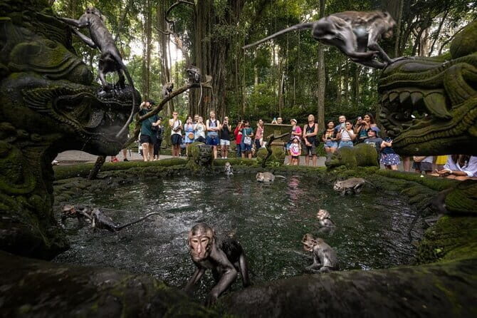 Ubud Tour: Monkey Forest, Rice Terrace, Waterfall, Water Temple - A Closer Look at the Ubud Tour Experience