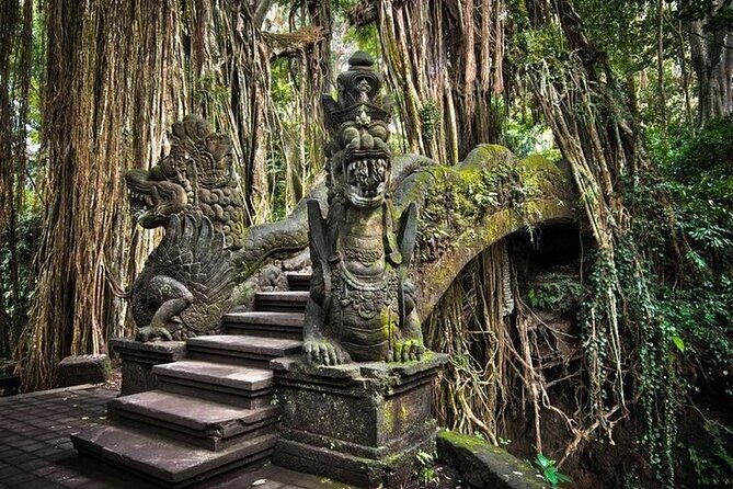 Ubud Tour (Monkey Forest, Tirta Empul Temple, Waterfall, Rice Terrace and Swing) - An in-Depth Look at the Ubud Tour