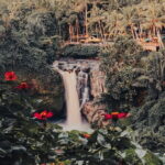 Ubud Tour with ATV Tubing Barong Dance and Waterfall - Exploring the Itinerary in Detail