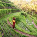 Ubud Tour with Swing, Temple, Monkey Forest, and Waterfall - Who Should Consider This Tour?