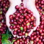 Ubud Tours: Culture, Palace, Temple, Rice field walks, Local show, Monkey Forest - The Sum Up