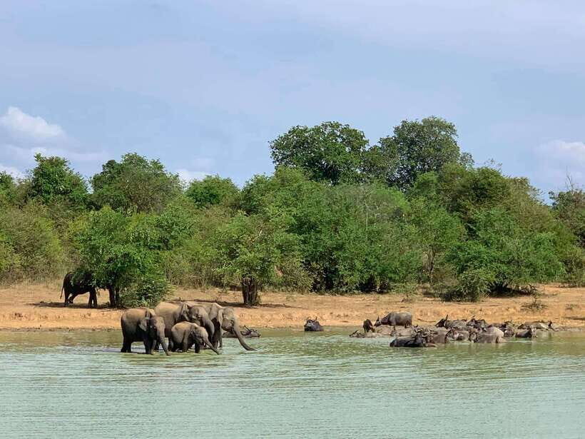 Udawalawa National Park: All Inclusive Safari Day Tour - Who Should Consider This Tour?