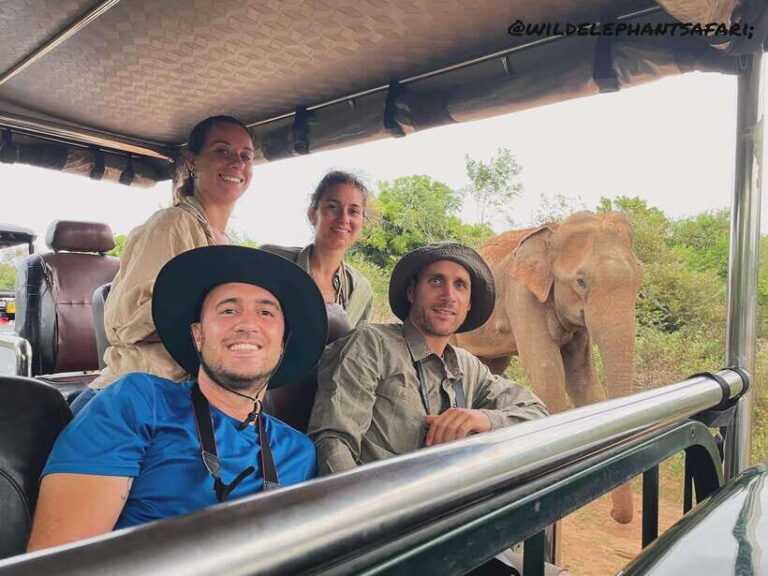 Udawalawa National Park: Safari & Elephant Transit Home Tour - What We Love About This Tour