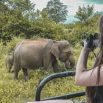 Udawalawe National Park Jeep Safari From Ella / Bandarawela - Authentic Wildlife Encounters and Expert Guidance