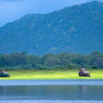 Udawalawe National Park Private Full-Day Safari - Exploring Udawalawe National Park: What You Can Expect