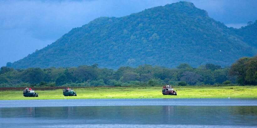 Udawalawe National Park Private Full-Day Safari - Exploring Udawalawe National Park: What You Can Expect