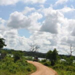 Udawalawe National Park Private Safari + Transit Home Visit - The Details of the Safari Experience