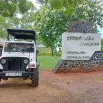Udawalawe National Park Safari Adventure ( privet tour) - Who Is This Tour For?