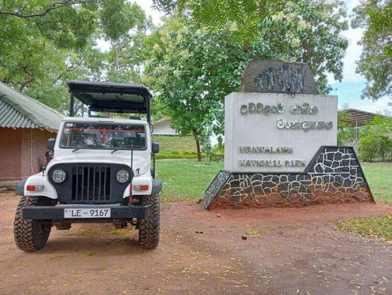 Udawalawe National Park Safari Adventure ( privet tour) - Who Is This Tour For?